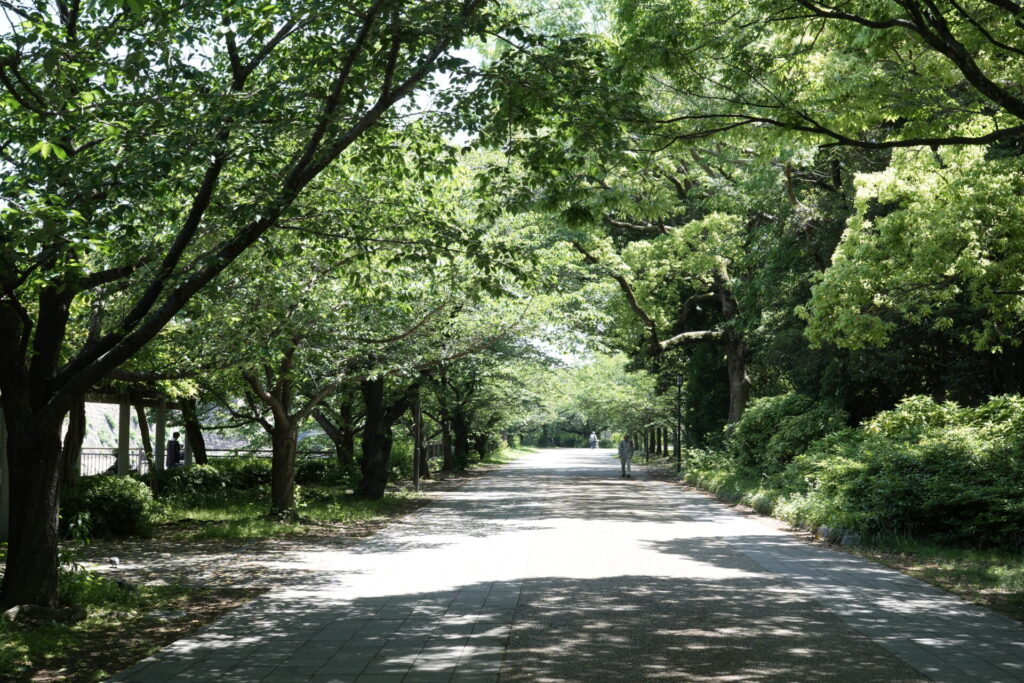 てんむすび税理士事務所｜英語対応・ITに強い税理士｜大阪市都島区 | 英語対応税理士が解決する英語税務問題：その重要性とメリット